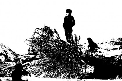 Posing For Picture on Driftwood Duotone by Pagani