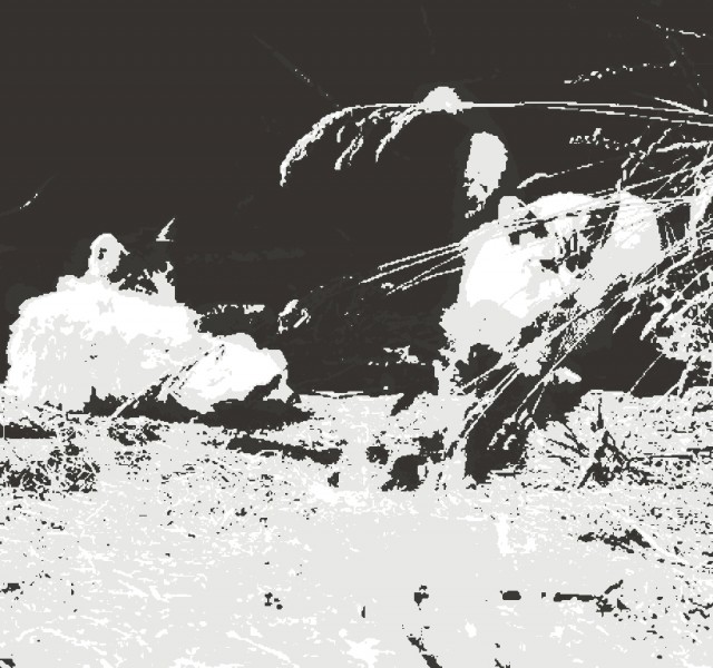 Cats, a photography-based abstract art work on canvas