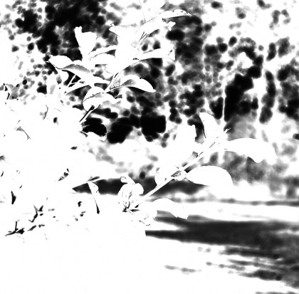 Sunlit, a black and white abstract art piece on canvas