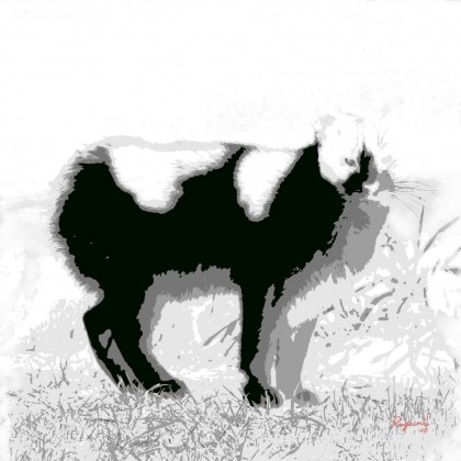 Black and white cat photography-based abstract art