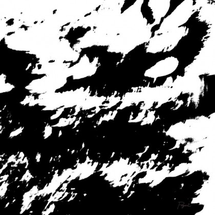 Leaves and Pathway B+W abstract expressionist pop art