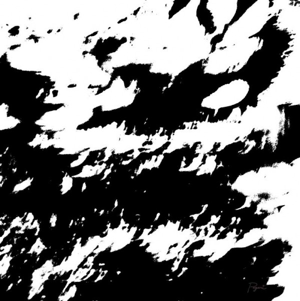 Leaves and Pathway B+W abstract expressionist pop art