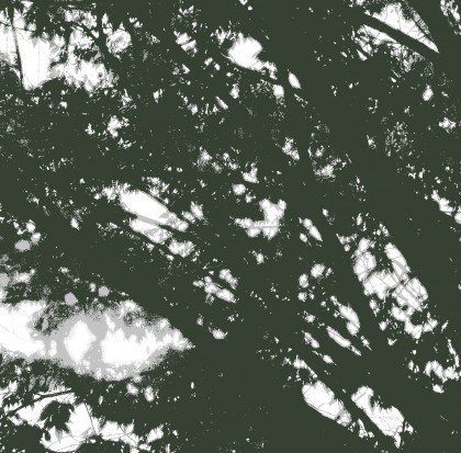 Sunlight, a photography-based abstract expressionist art piece