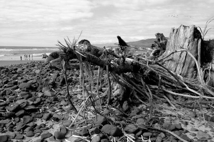 Driftwood and rocks, Cape Meares, Oregon iphone photo black and white