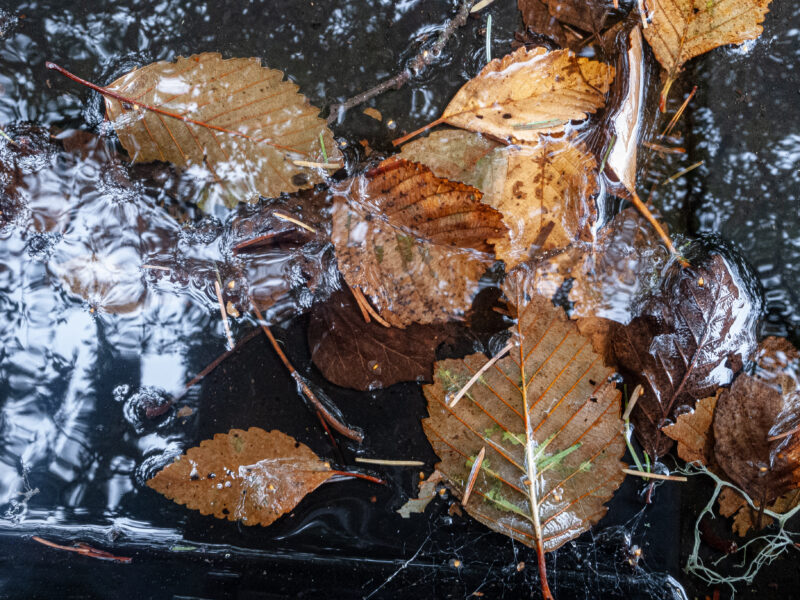 The Falling, Abstract impressionist photo art